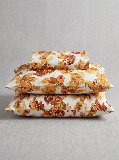 Autumn Maple