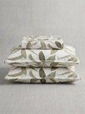 Olive Botanical Leaf
